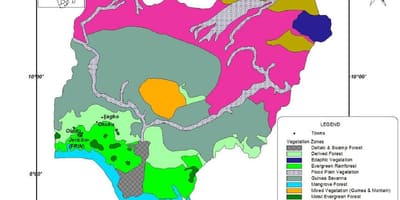 નકશો નાઇજીરીયા દર્શાવે વનસ્પતિ
